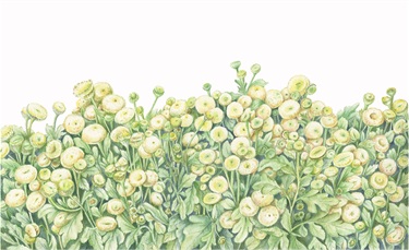 Sooka Kim, “My Mum's Flower”, 2020, watercolour on paper