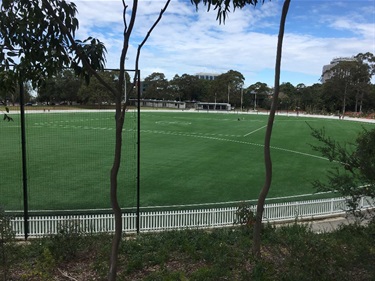 Gore Hill Oval