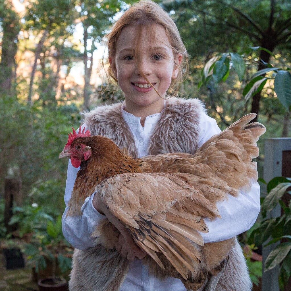Photo of Ava holding chicken.jpg