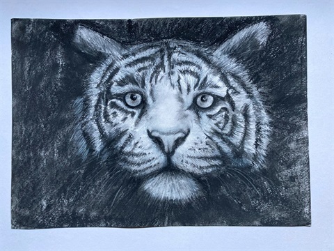 Adult art - tiger.jpg
