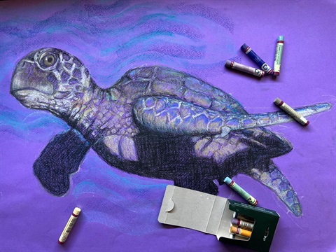 Adult art - turtle.jpg