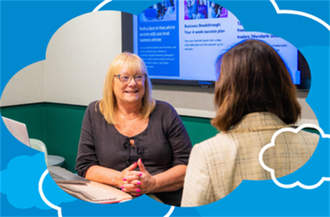 Business Success Hub - Sue Walsh Digital Solution.png