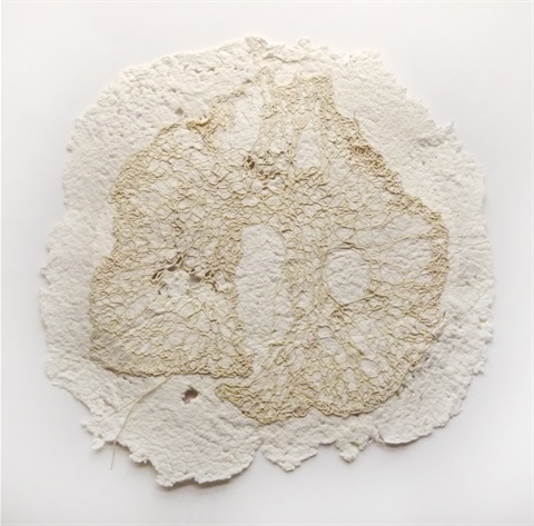 Judith Wilson, Fantale, 2020, knitted handspun paper embedded in paper pulp, 560x560mm