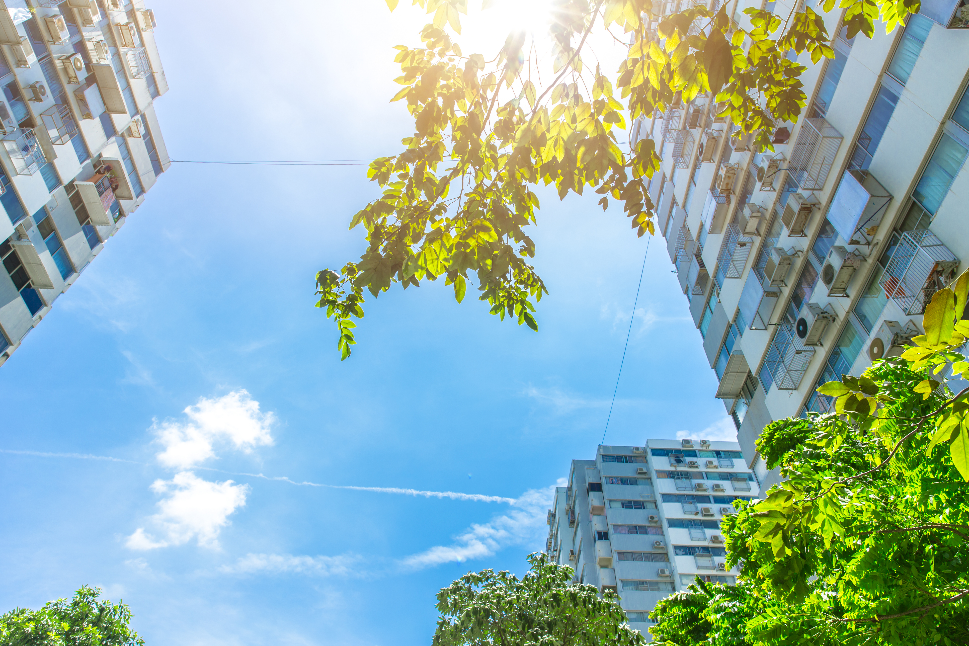 Connecting Your Apartment Building to Sustainability